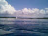 dan01_14.jpg (20kB)