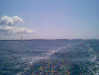 dan03_14.jpg (20kB)