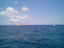 dan03_16.jpg (8kB)